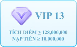 VIP 13